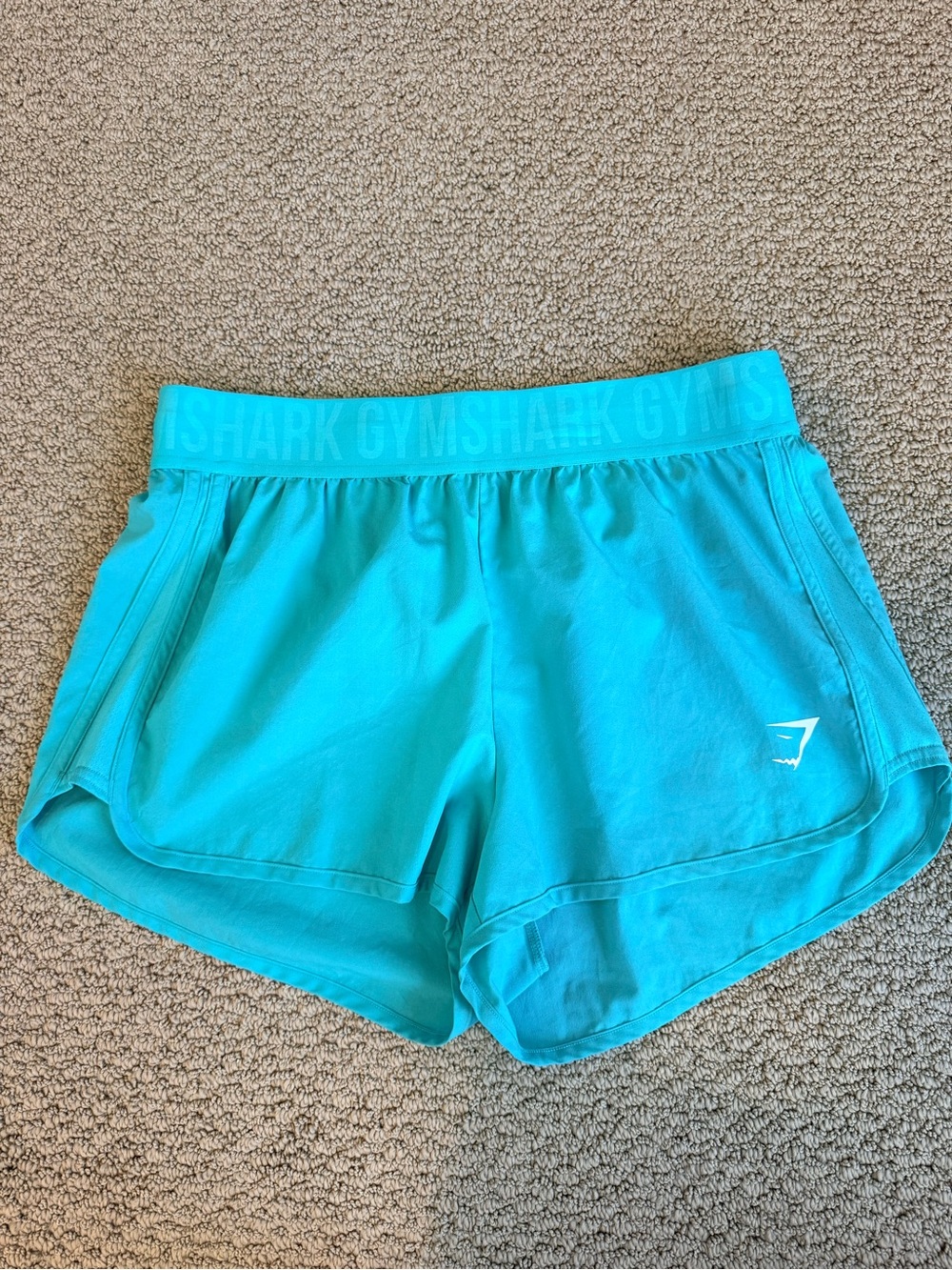 Gymshark Women’s Teal Performance Shorts